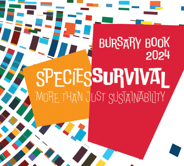 STS Bursary Book - Digital Download